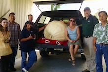 Giant pumpkin with Hilo 4-H group
